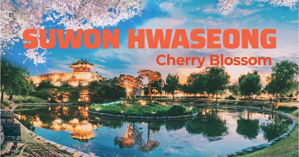 Cherry Blossom Suwon Hwaseong Fortress Tour from Seoul - Klook